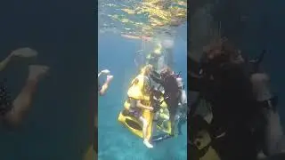 BOSS Underwater Adventure St. Thomas USVI