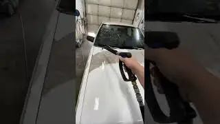Cleaning abandoned car with Premier Shine Chemicals! #automobile #carwash