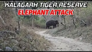 Elephant Attack | Kalagarh Tiger Reserve | Lansdowne Ride 2025 | Ep 03