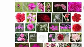 externe Grafiken als Produktbild