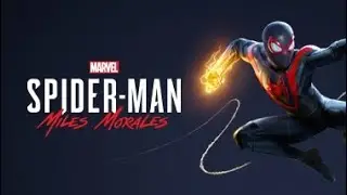 Finished Spider-Man Miles Morales