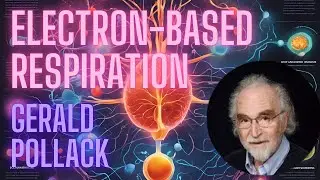 Is it oxygen, or electrons, that our respiratory system delivers? interview with Gerald Pollack