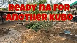 Nag sacrifice nanaman tayo ng tanim para sa kubo | Ready na for layout bukas