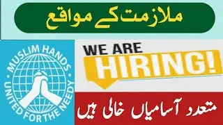 Muslim Hands NGO Jobs in Pakistan 2025 | PEF PSRP Jobs 2025 vacancies