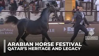 Arabian Horse Festival in Doha showcases Qatar&rsquo;s heritage, culture and elite competitions