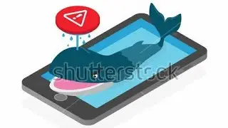 Blue whale challenge tackle - information about anti blue whale challenge in Urdu