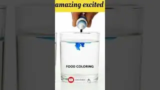 Density of water VS Food coloring #shorts #magictricks #experiments #viralshorts #scienceexperiments