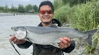 Non-stop action at Ship creek! ( Caught my first Coho salmon of 2023 )