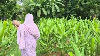My Simple Life: Small Farmhouse Tour & Organic Vegetable Garden 🌿