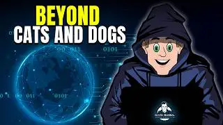 Beyond Cats and Dogs: Real-World Object-Oriented Programming Explained