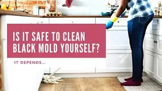 Is it SAFE to Clean Black Mold Yourself?  It depends...