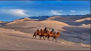 15-Day Gobi Self-Drive Adventure | Explore Mongolia&rsquo;s Untouched Wilderness
