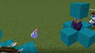 Never-ending Minecraft battle: Witch vs Skeleton