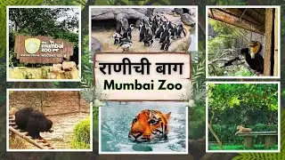 राणीबाग | Mumbai Zoo Full Tour in Marathi | Mumbai Zoo Complete Guide🐧🐯