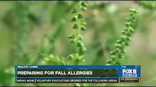 Preparing For Fall Allergies | Dr. Reena Mehta | Uptown Allergy & Asthma