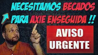 BECA AXIE INFINITY 💥💥