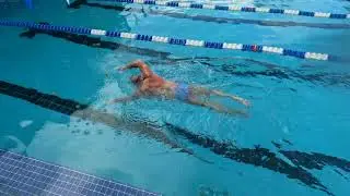 Bill Swimming 1