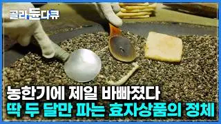 다들 노는 농한기에 제일 바쁘다. 일 년에 딱 두 달만 파는 시골 효자상품의 정체｜기름에 튀기지 않고 돌로 굽는 자갈 유과｜정여창 선생의 생가 일두고택｜한국기행｜#골라듄다큐