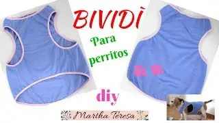 Cómo Hacer Un Polito Para Verano (Bividì) Para Perrita Beagle.