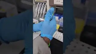 Molecular Breeding Laboratory Procedures Part-4: DNA extraction and washing