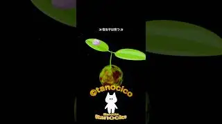寝る子は育つ✨寒い冬の間にも、ひそかに育っている✨Blenderで3DCGアニメーションをつくっているtanocicoたのしこ楽子です✨#blender #tanocico #WIP