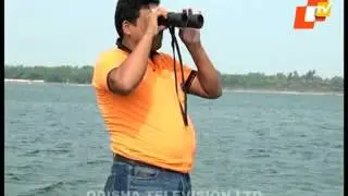 DOLPHIN CENSUS