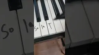 Tralalero Tralala #piano