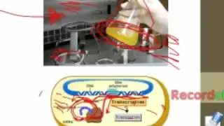 CH308 Bioanalytical Techniques part I v2016