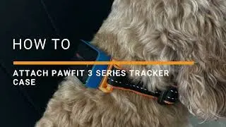 КАК: прикрепить чехол для трекера Pawfit 3 Series | GPS-трекер для домашних животных Pawfit