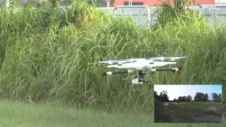 Walkera Tali H500 Hexacopter Test Flight 2- HeliPal.com
