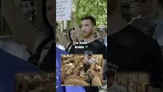 Muslim tells vegan animals DON'T SUFFER in Saudi Arabia 🇸🇦