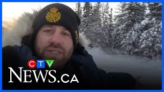 Frigid temps bring moose onto roads, OPP urge drivers to slow down