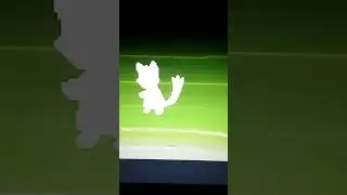 chyinmunk evolusi