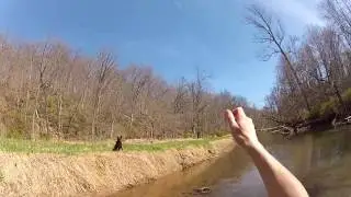 My First MD caught Trout