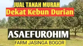 Tanah Murah dekat Asaefurohim farm Jasinga @Bogor tanah murah #085694132031 #tanahadat