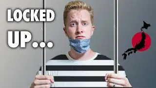 Arriving in Japan | What Quarantine is  really like