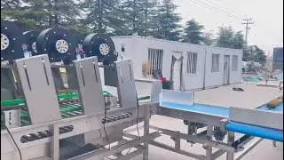 mango Avocado, guava,watermelon,pineapple non-destructive weighing fruit washing and grading machine
