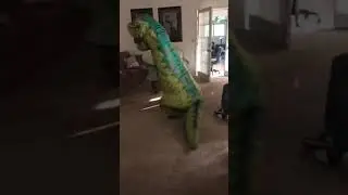 Child Inflatable Rex Costume