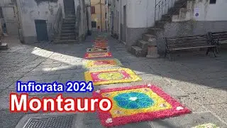 Infiorata Montauro 2024