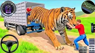Animal Cargo Truck Driving Game 3D - Tiger Transport Cargo Truck - Android Gameplay #4