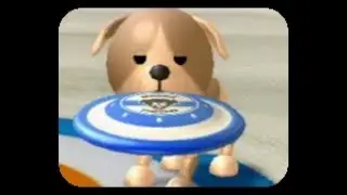 Continuous Return (reeee Sports)