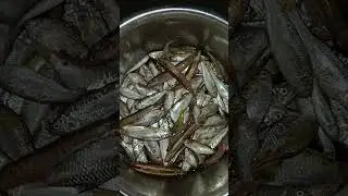 today's fishing difference types of river fish #fish #youtobeshorts #tharu fishing #shorts