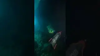 Lighting the World | OrcaTorch D710 Dive Light