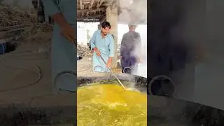 Gur Banane Ka Desi Process | Taaza Gannay Ka Ras Aur Asli Jaggery 🍯| #jaggery #foodvlog #shorts