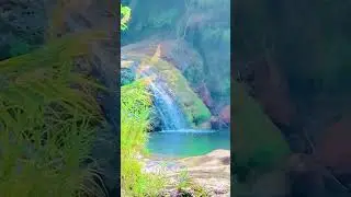 wade soon valley