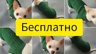 БЕСПЛАТНЫЙ МАСТЕР-КЛАСС КОФТОЧКА ДЛЯ НАШЕГО ПИТОМЦА часть 2