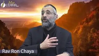Comment réagir face aux souffrances ? RAV RON CHAYA