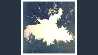 Quiet river