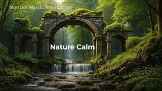Peaceful Night Music for Emotional Healing Gentle Rest and Restorative Sleep