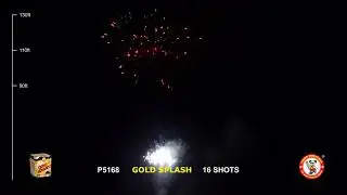 P5168 GOLD SPLASH! 16'S WINDA FIREWORKS New for 2019